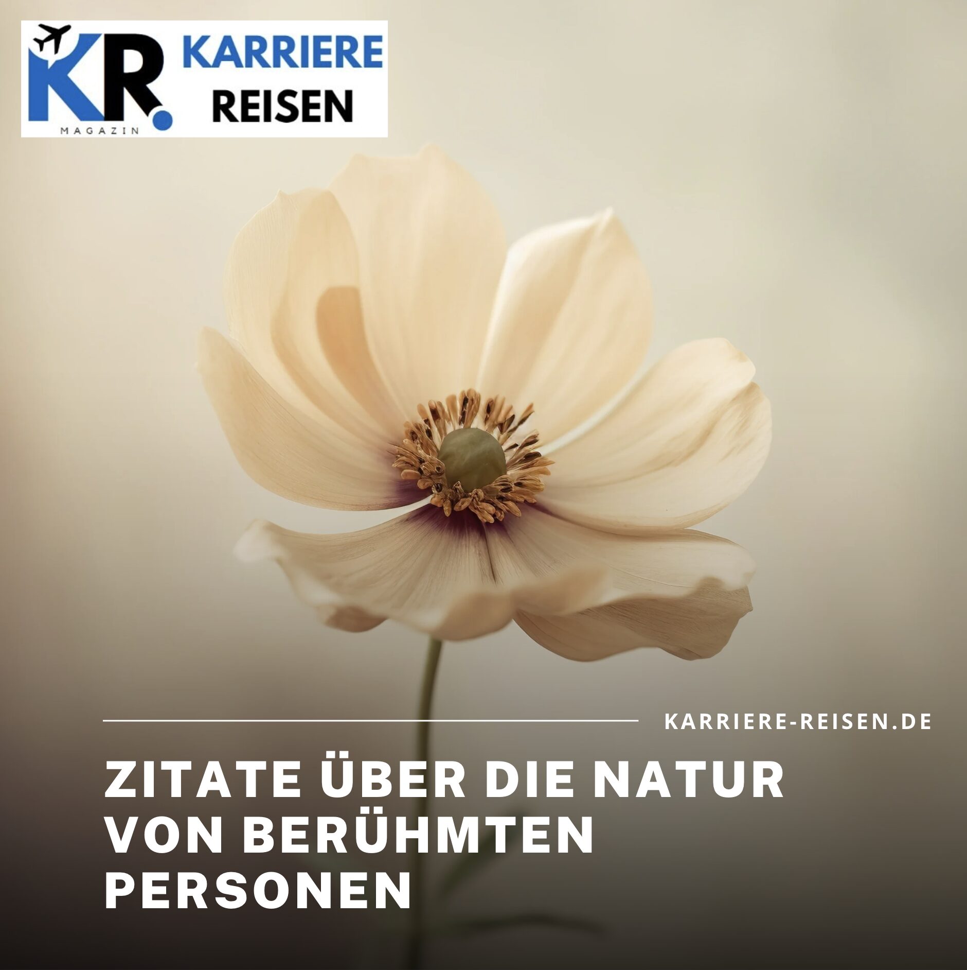 Zitate über die Natur von berühmten Personen Zitate über die Natur von berühmten Personen