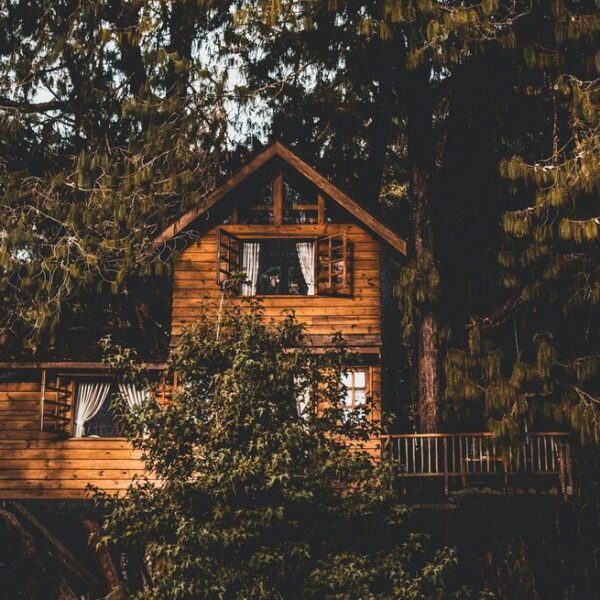 baumhaus übernachtung